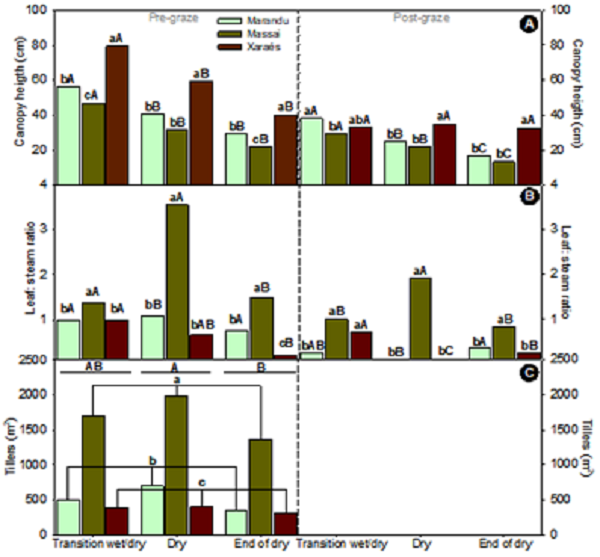 Canopy height (A), leaf: stem ratio (B), and tiller population density (C) of tropical forages at pre and post grazing during the studied periods; Lower case letters in forages and upper-case letters in periods do not differ statistically by the Pdiff test at 5% probability level.