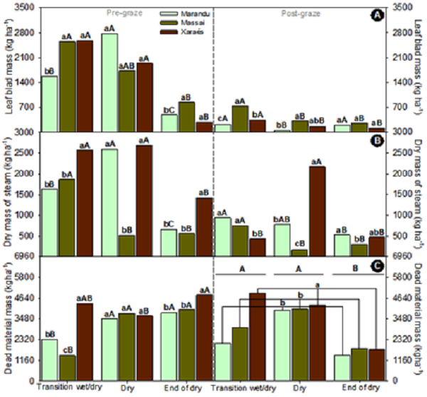 Leaf blade mass (A), dry mass of stem (B), and dead material mass (C) of tropical forages at pre and post grazing during the studied periods; Lower case letters in forages and upper-case letters in periods do not differ statistically by the Pdiff test at 5% probability level.