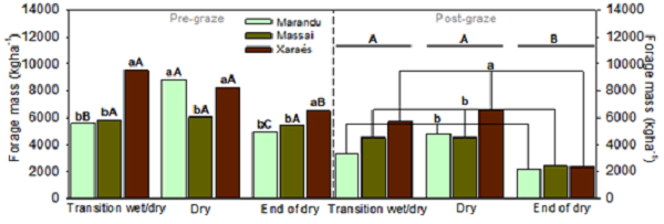 Forage mass of tropical forages at pre and post grazing during the studied periods; Lower case letters in forages and upper-case letters in periods do not differ statistically by the Pdiff test at 5% probability level.