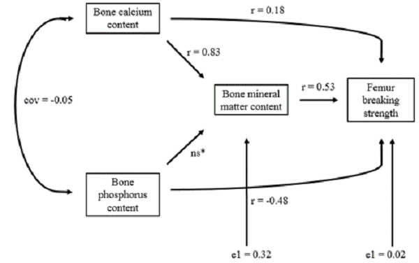 Path diagram of correlations among bone calcium, phosphorus, and mineral matter contents, besides the femur breaking strength, considering direct and indirect effects via mineral matter content. Cov = covariance between calcium and phosphorus contents; r = correlation coefficient; e1 = residual error associated with bone mineral matter content; e2 = residual error associated with the femur breaking strength; ns = non-significant correlation path at 5% of error probability.