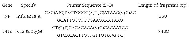 The characteristics of the primer used to amplify the NP and H9 genes of avian influenza.