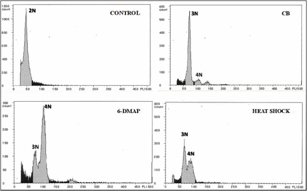 Flow cytometry analysis for larvae at 48h of age, resulting from blocking the first polar corpuscle, 14 min. after fertilization. The X axis corresponds to the fluorescence of the nucleus cell (DNA content), and the Y axis represents the number of cells counted. 2N = diploid; 3N = triploid; and 4N = tetraploid.