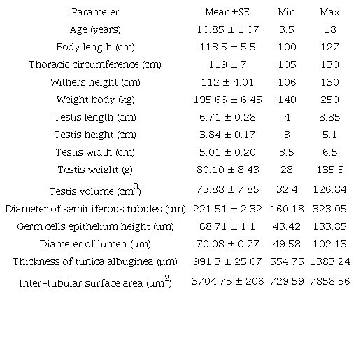 Descriptive data of morphometrics and histomorphometrics of testicular in donkey (E. asinus) (n = 21).