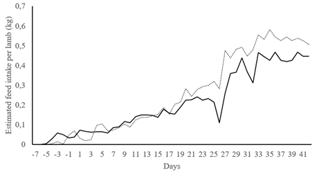 Estimated feed intake per lamb (kg) suckling ewes from control (dotted line) and palm kernel supplemented groups (solid lined). The experimental period of ewes lasted 42 days (day zero to 42).