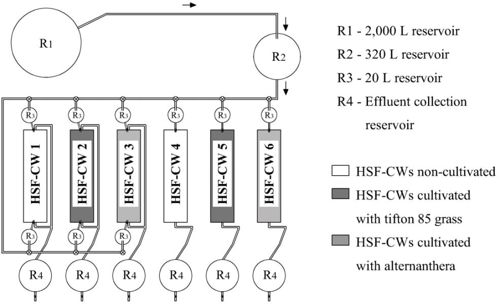 Schematic representation of the experimental structure, where: HSF-CWs 1, 2
and 3 were adapted to enable the reversal of the flow direction; and HSF-CW 4,
5 and 6 were not adapted to enable the reversal of the flow direction.