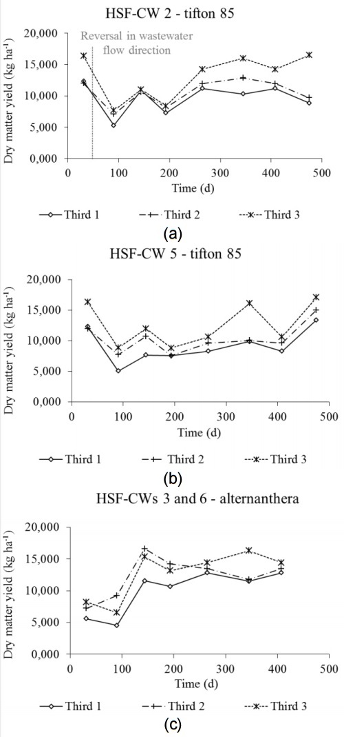 Variation in dry matter yield (kg ha-1) for: (a) HSF-CW 2, with
reversal of the flow direction after the second cutting of the plants and (b)
HSF-CW 5, without reversal of the flow direction, both cultivated with Tifton
85; and (c) HSF-CW 3 and 6, cultivated with Alternanthera.

 