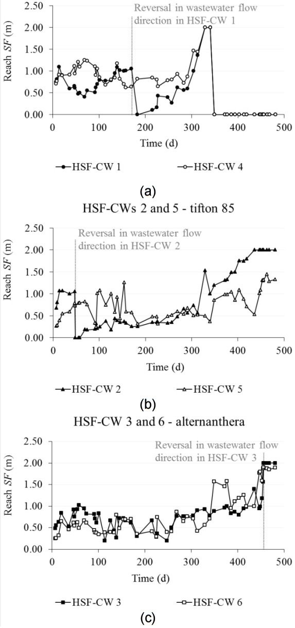 Variation in the SF before and after the reversal of the flow direction in:
(a) HSF-CWs 1 and 4, non-cultivated; (b) HSF-CWs 2 and 5, cultivated with
Tifton 85; and (c) HSF-CWs 3 and 6, cultivated with Alternanthera.