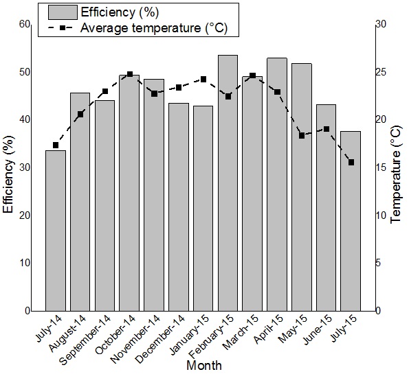 Figure 5. Efficiency and temperature during the studied period.