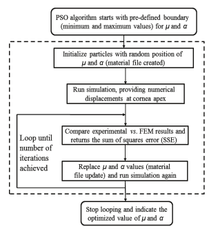 Flow chart of PSO process for the cornea´s definition
of material properties.