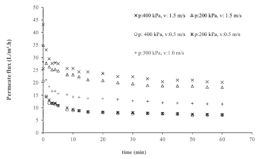 Flux decline in whey ultrafiltration at different
TMP and cross-flow velocities.