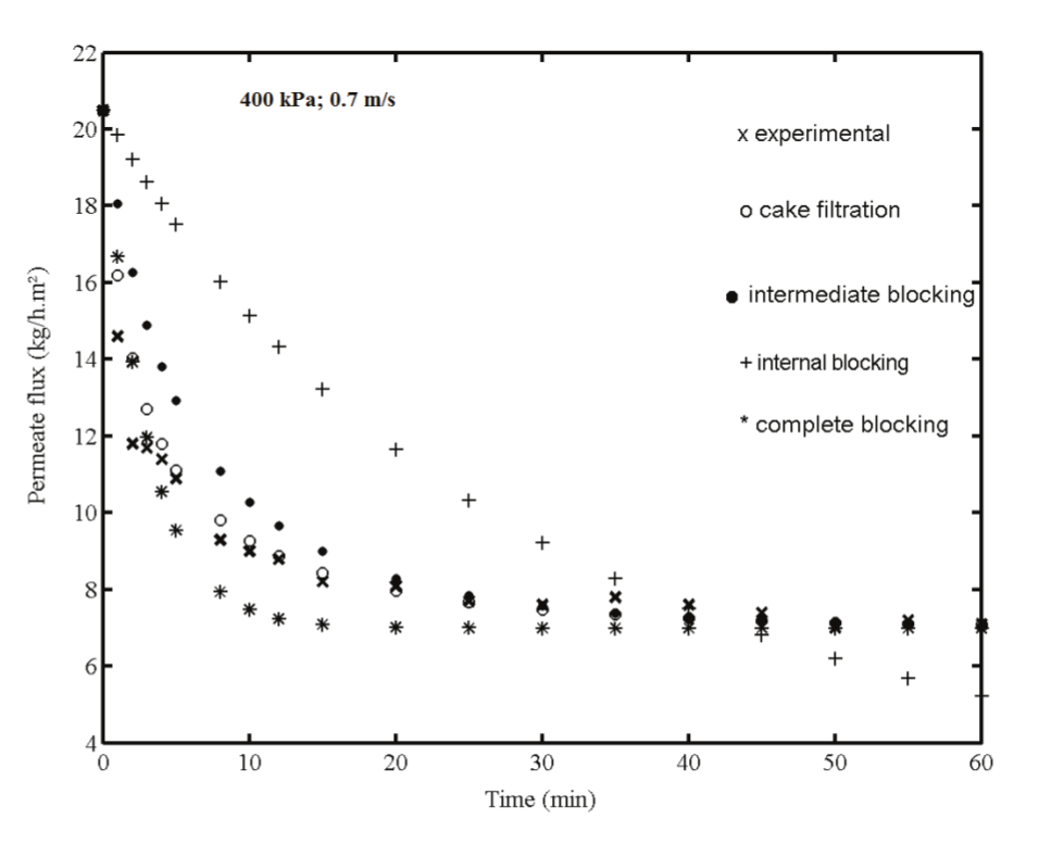 Fitted data for
membrane fouling mechanism at 400 kPa and v = 0.7 m s-1.