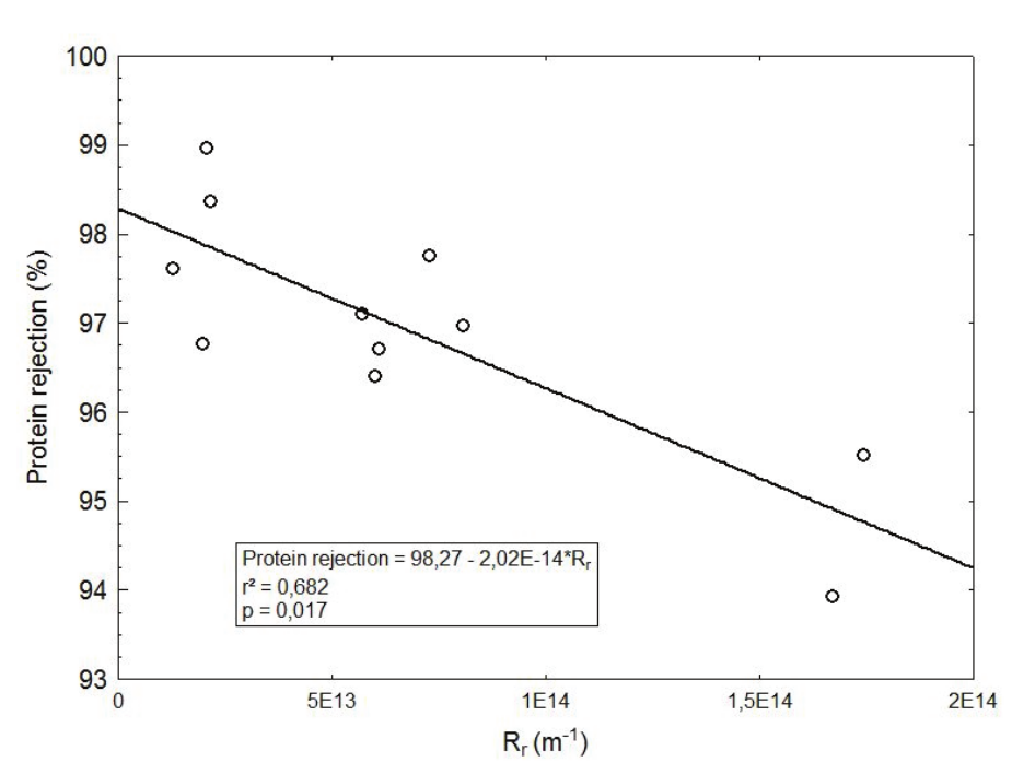 Effect of reversible resistance on protein rejection
in whey ultrafiltration.