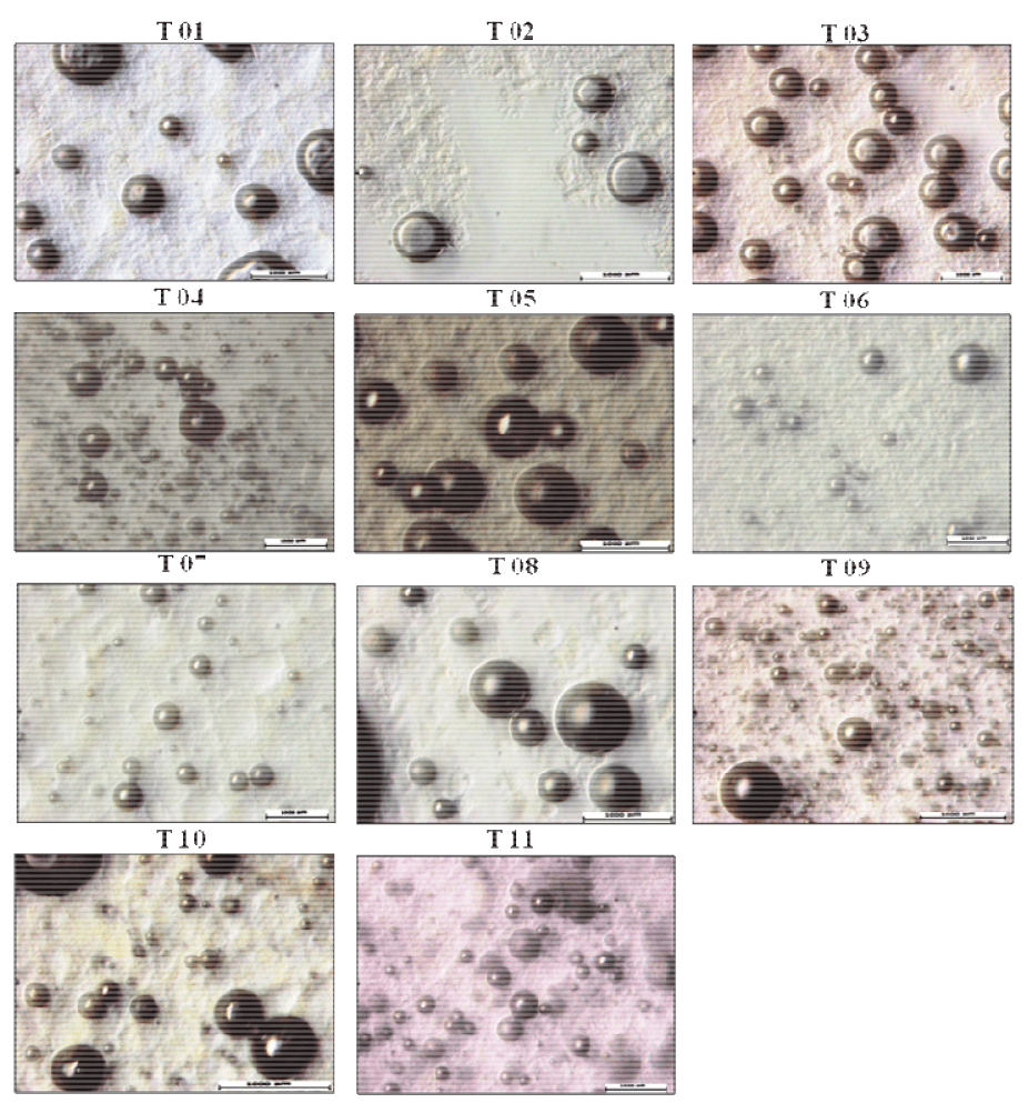 Optical photomicrographs (with an increase of 1000
times) of microcapsules from 11 trials by DCCR, containing L. acidophilus La-5, obtained by spray drying. Bar 1000 uM.