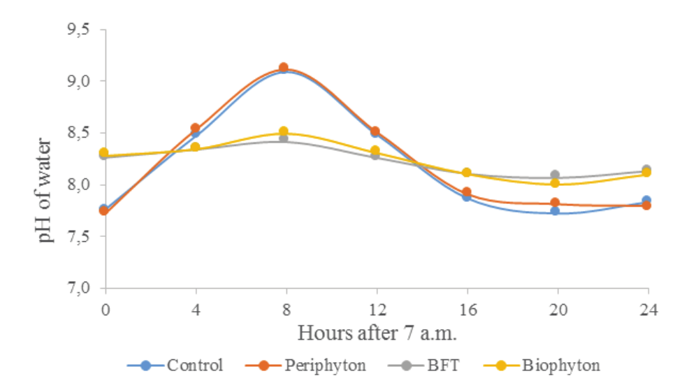 Diel pH of
water in Nile tilapia rearing tanks. Control: green waters, no underwater
structures or adjustment of the C:N ratio of water; Periphyton: installment of
underwater structures for periphyton development; BFT: bioflocs
technology, adjustment of the C:N ratio of water to 15: 1; Biophyton:
adjustment of the C:N ratio of water to 15:1 plus installment of underwater
structures for periphyton.