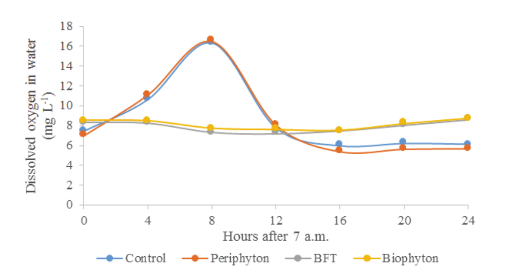  Diel
concentrations of dissolved oxygen in Nile tilapia rearing tanks. Control:
green waters, no underwater structures or adjustment of the C: N ratio of
water; Periphyton: installment of underwater structures for periphyton
development; BFT: bioflocs technology, adjustment of
the C:N ratio of water to 15:1; Biophyton: adjustment
of the C:N ratio of water to 15:1 plus installment of underwater structures for
periphyton.