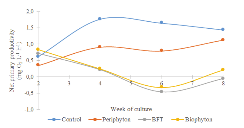 Net primary
productivity of Nile tilapia rearing tanks. Control: green waters, no
underwater structures or adjustment of the C: N ratio of water; Periphyton: installment
of underwater structures for periphyton development; BFT: bioflocs
technology, adjustment of the C:N ratio of water to 15:1; Biophyton:
adjustment of the C:N ratio of water to 15:1 plus installment of underwater
structures for periphyton.
