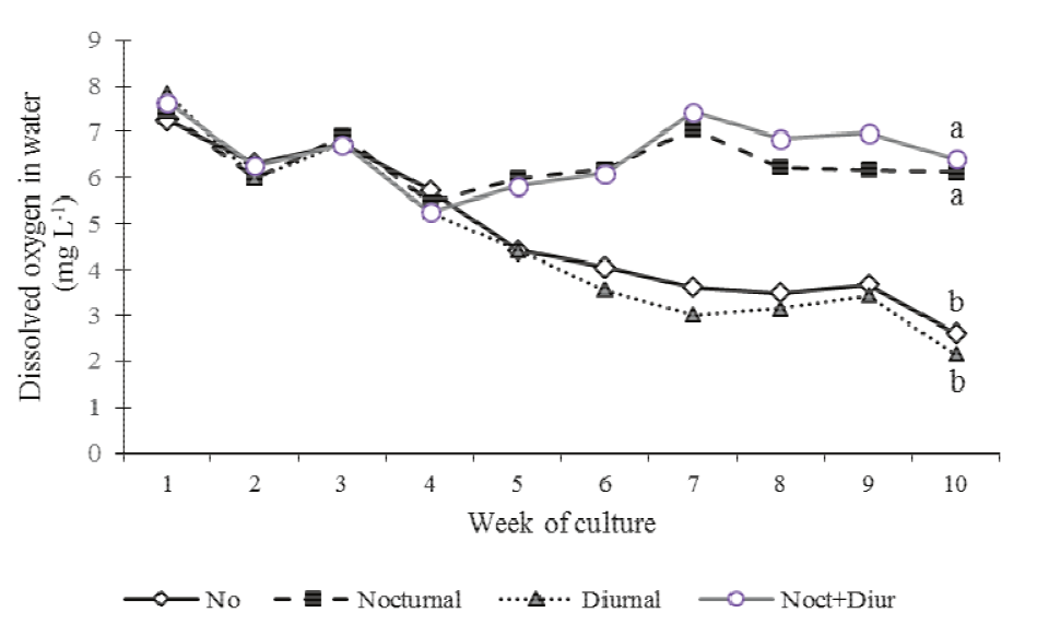 Concentration of dissolved oxygen in
water at 08:00 h of Nile tilapia tanks submitted to different water aeration regimes
(n = 5). Nocturnal aeration: 22:00 h &ndash; 06:00 h; diurnal aeration: 10:00 h &ndash; 18:00
h; nocturnal + diurnal aeration: 10:00 h &ndash; 06:00 h. In the last week, symbols with
distinct letters represent means significantly different between themselves by the
Tukey&rsquo;s test (ANOVA, p < 0.05).