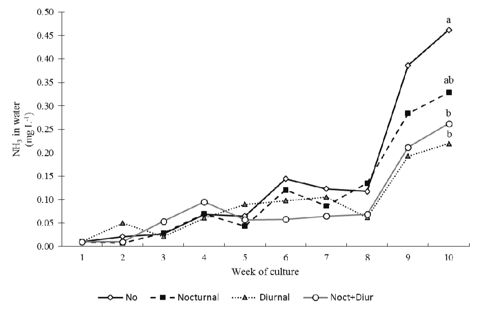 Concentration of non-ionized ammonia
(NH3) in water between 08:00 h and 09:00 h of Nile tilapia tanks submitted
to different water aeration regimes (n = 5). Nocturnal aeration: 22:00 h &ndash; 06:00
h; diurnal aeration: 10:00 h &ndash; 18:00 h; nocturnal + diurnal aeration: 10:00 h &ndash;
06:00 h. In the last week, symbols with distinct letters represent means significantly
different between themselves by the Tukey&rsquo;s test (ANOVA, p < 0.05).