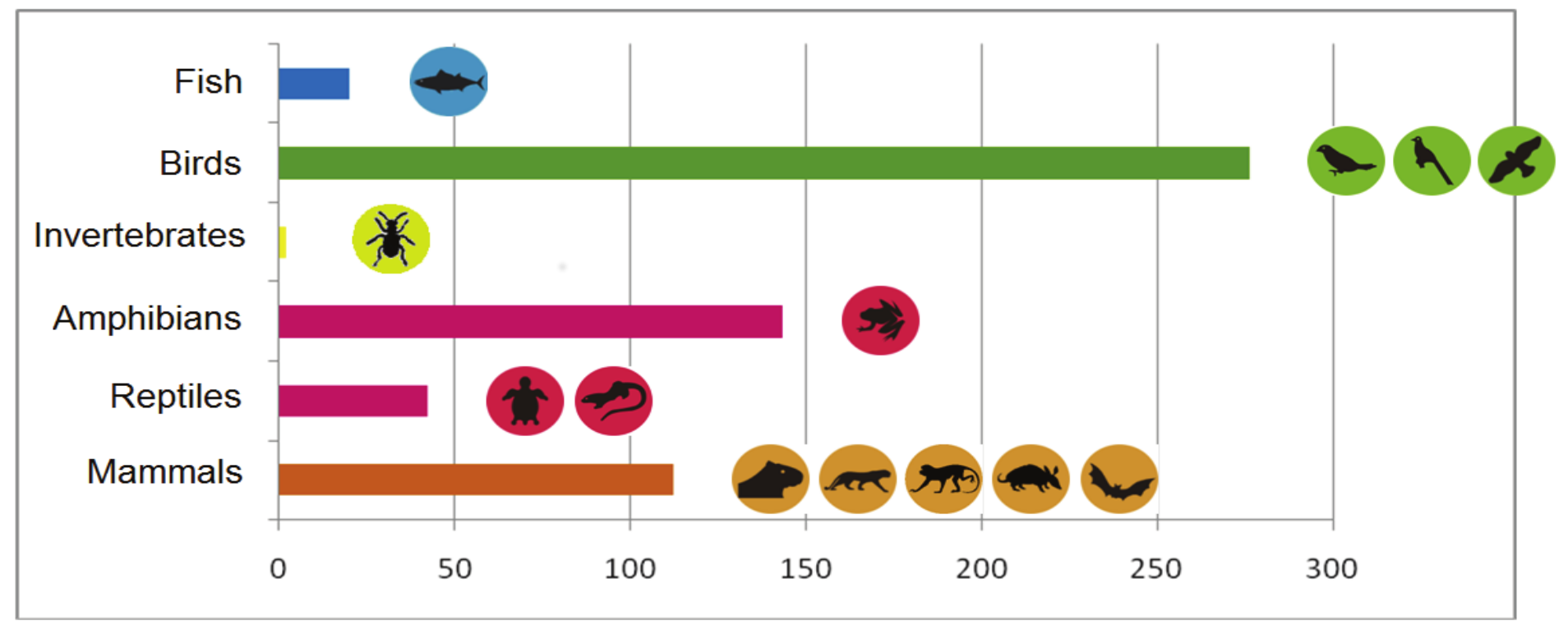 Number of
species per group in pilot areas.