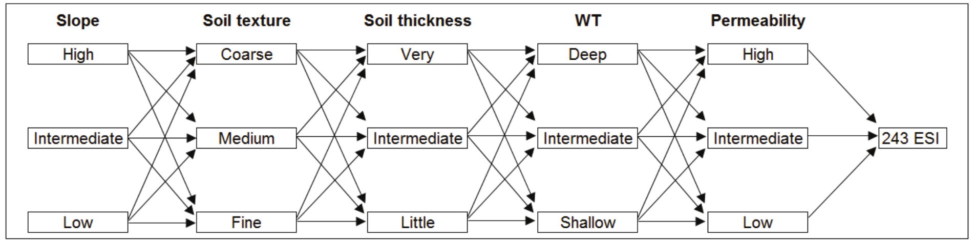 Combinatory analysis of variable classes that compose TESI.