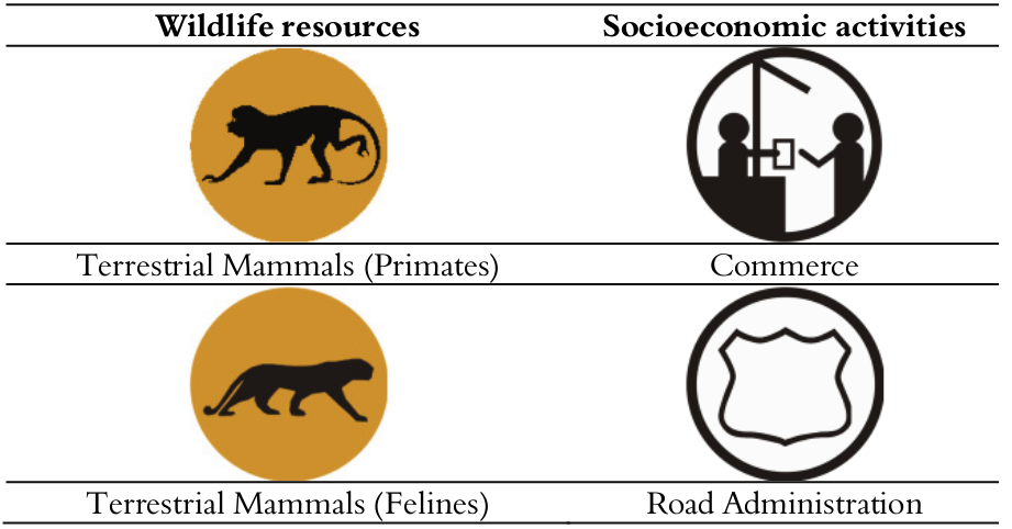 Examples
of representative groups of fauna and activities (Brazil).