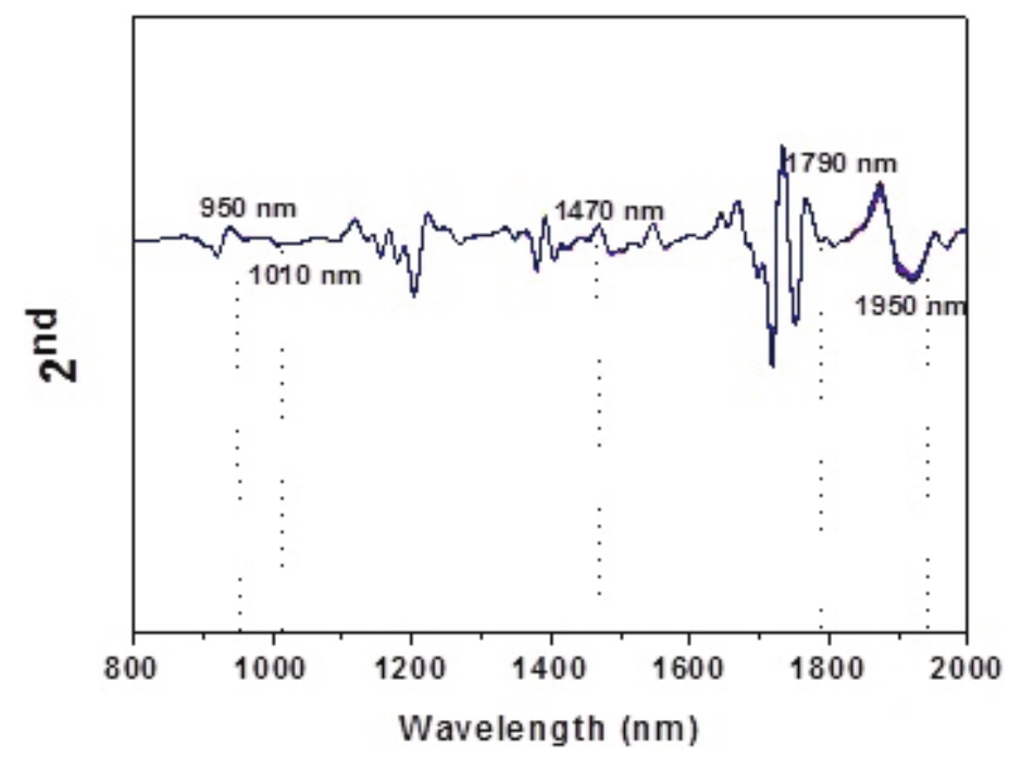 2nd
Derivative spectra of 49 powdered egg samples with zoom in bands of O-H bonds.