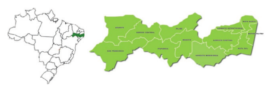 Pernambuco
State and its administrative sub-regions.  