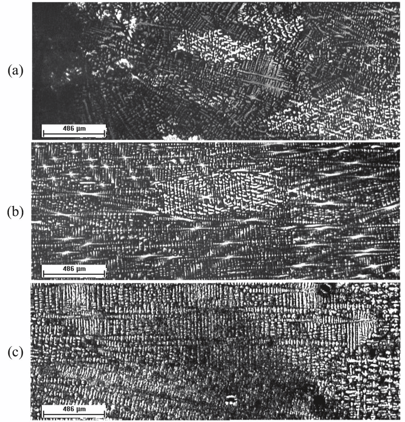 Transversal section microstructures of
a Pb-2.5% Sb slab obtained in cooled mold
with 10 mm deformation during its solidification, according to the following positions
from the metal/mold interface: (a) up to 3 mm; (b) between 9 and 11 mm; and (c)
between 24 and 26 mm. 25X magnification.