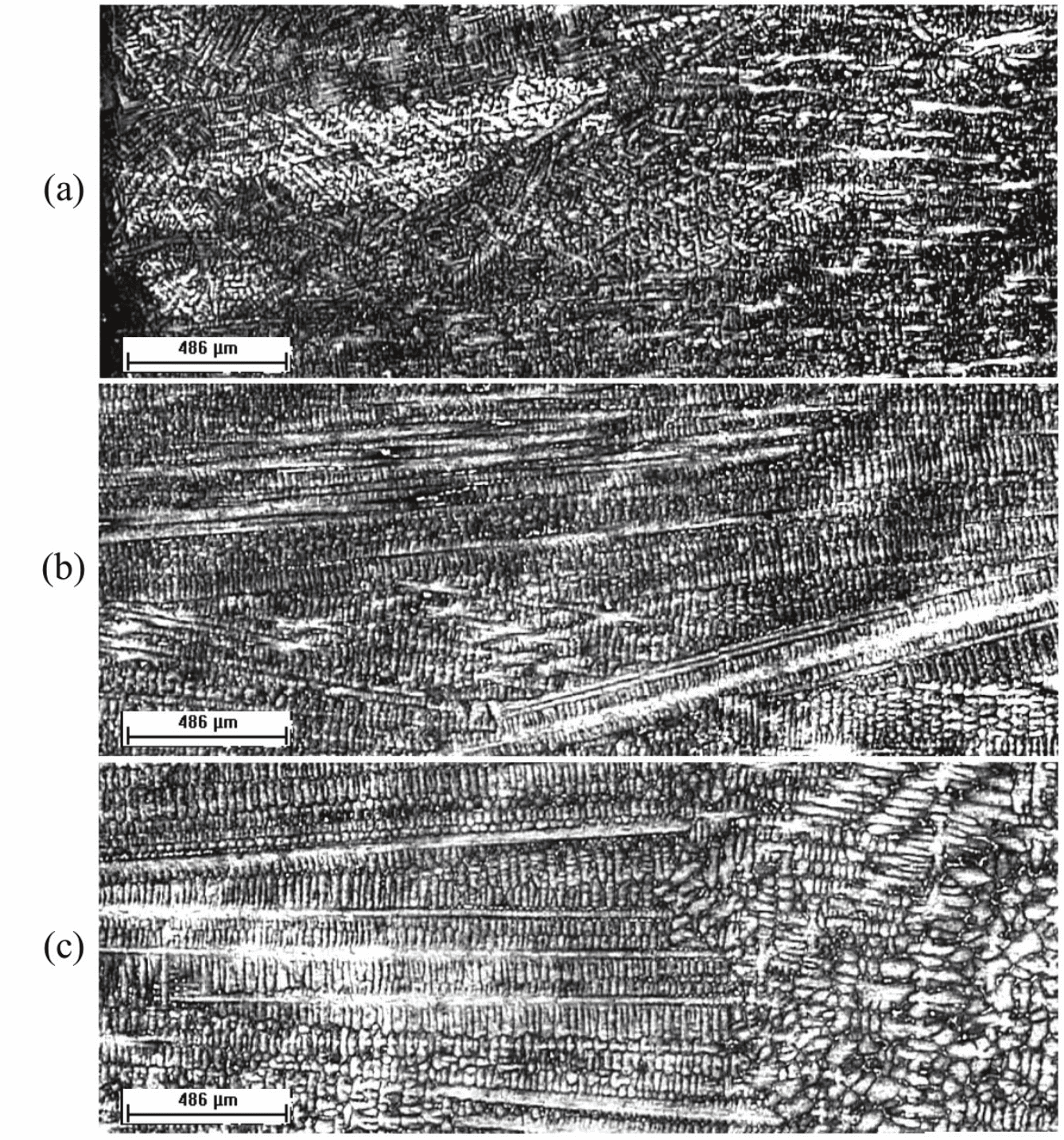  Transversal section microstructures of
a Pb-2.5% Sb slab obtained in cooled mold
with 20 mm deformation during its solidification, according to the following positions
from the metal/mold interface: (a) up to 3 mm; (b) between 11 and 13 mm; and (c)
between 18 and 20 mm. 25X magnification.