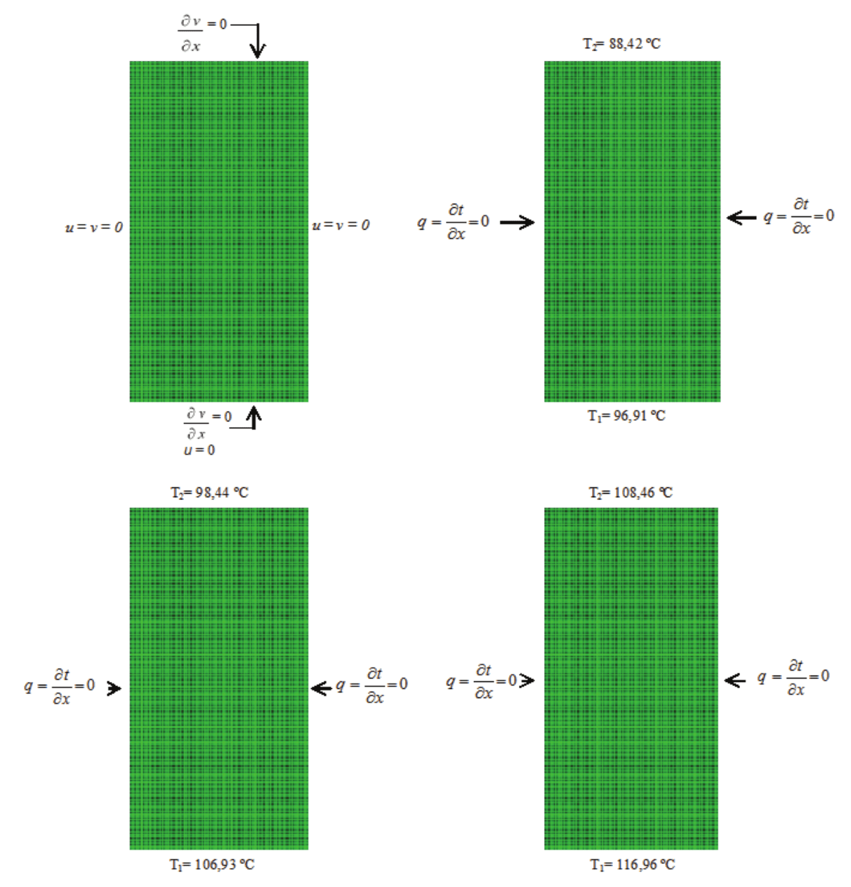 Representation in cut convective air flow and distribution of heat flow
inside the dryer.