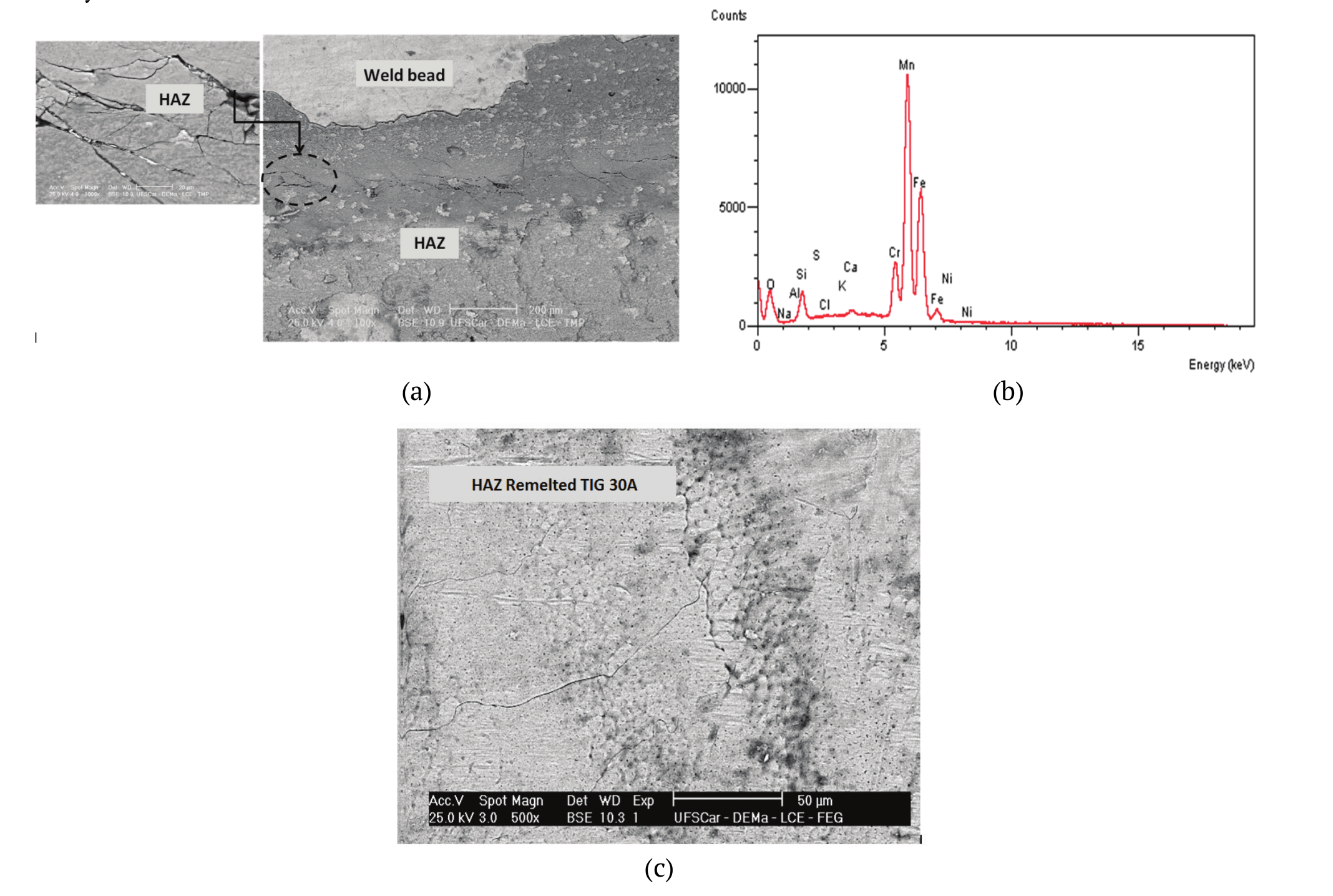 Constrained plates subjected to the corrosion test in NaCl containing medium,
heated to 80 &plusmn; 2&ordm;C for 10 hours. (a) Interface HAZ/MZ (molten zone); (b) EDS in
(a); (c) HAZ remelted by TIG welding 30 ampere.