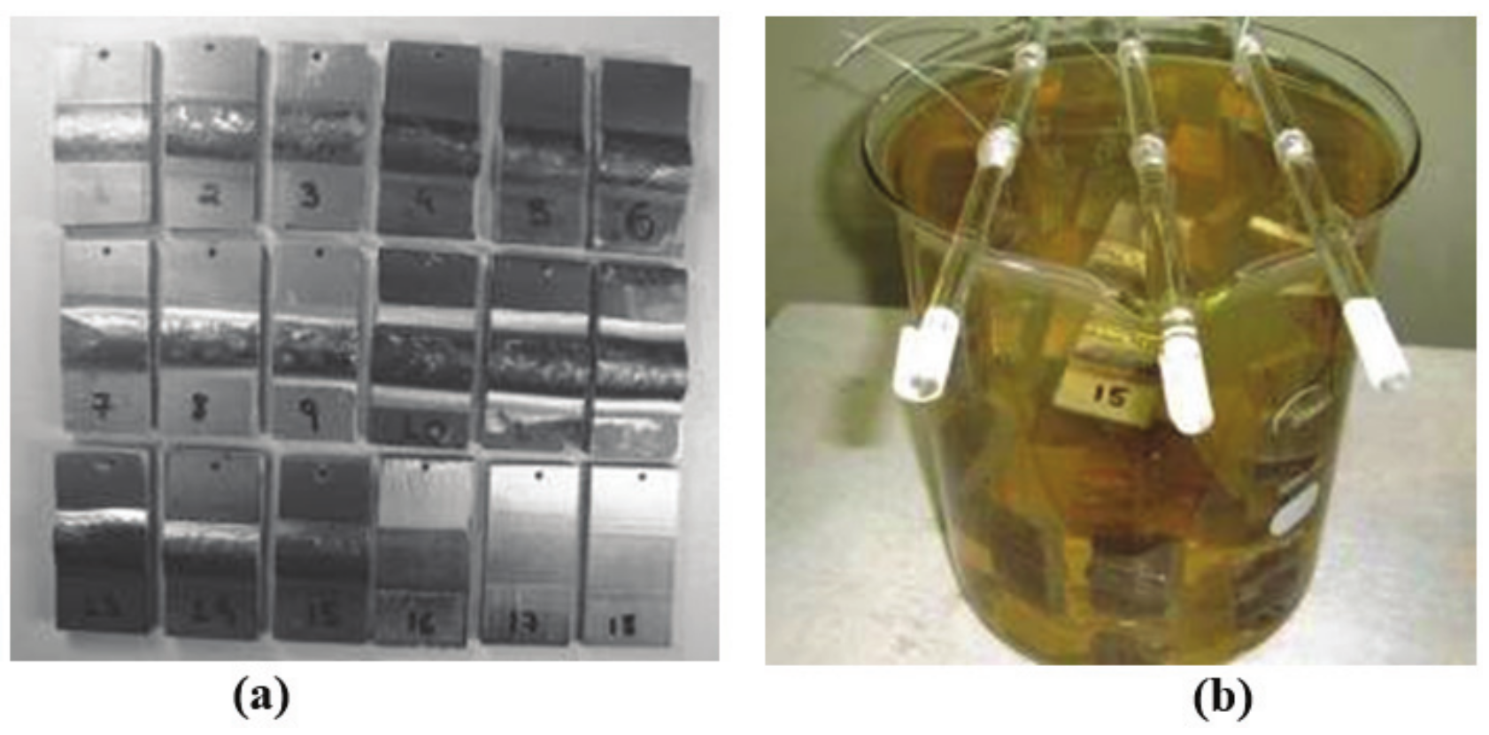 Samples prepared for corrosion test. (a) cut according to the norm ASTM
G48-76; (b) Samples immersed in NaCl containing medium.