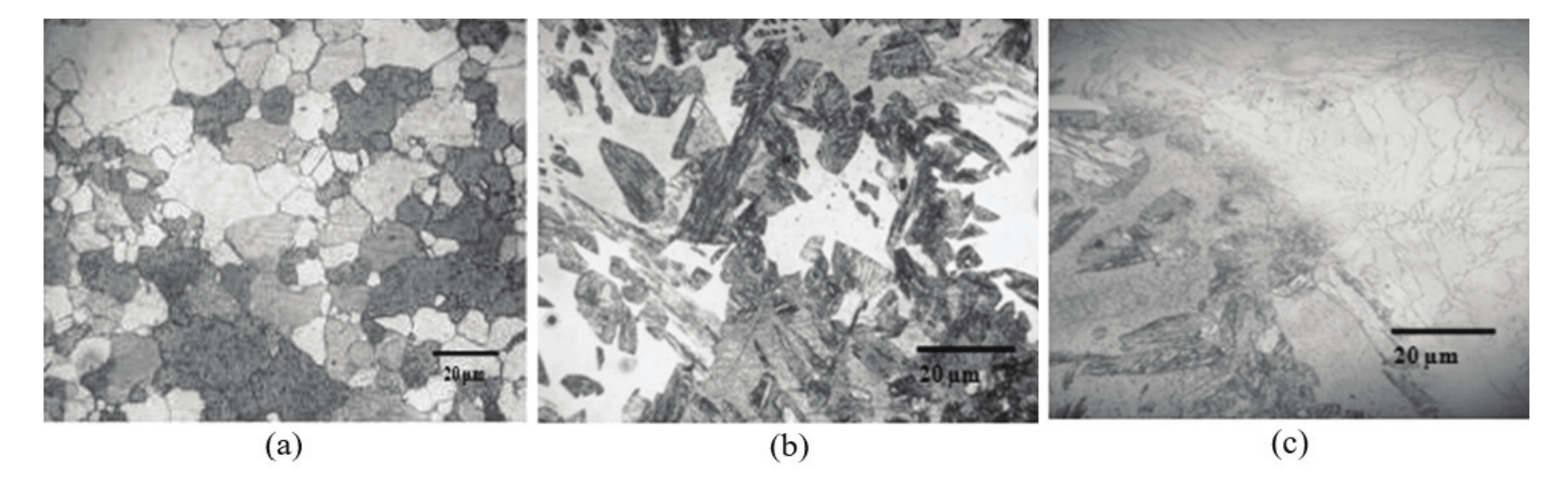 Microstructure of the welded joint.
(a) Base Metal; (b) Heat-affected zone (HAZ); (c) Interface HAZ/MZ (molten
zone). Attack: Aqua Regia.