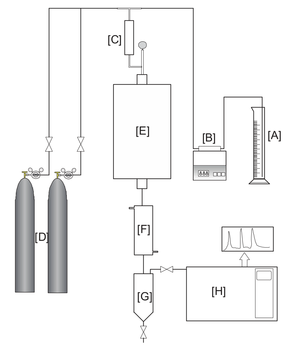 
Schematic representation of the experimental apparatus.