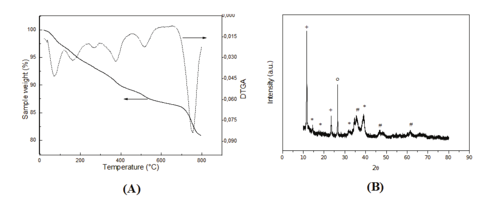 
TGA/DTGA profile for the catalyst HiFUEL R120 (A) and
XRD patterns of the catalyst HiFuel R120. (*) Zaccagnaite Zn4Al2(OH)12(CO3).3H2O;
(+) Alumina (Al2O3); (o) Silicon oxide SiO2; (#) Tenorite CuO (B).