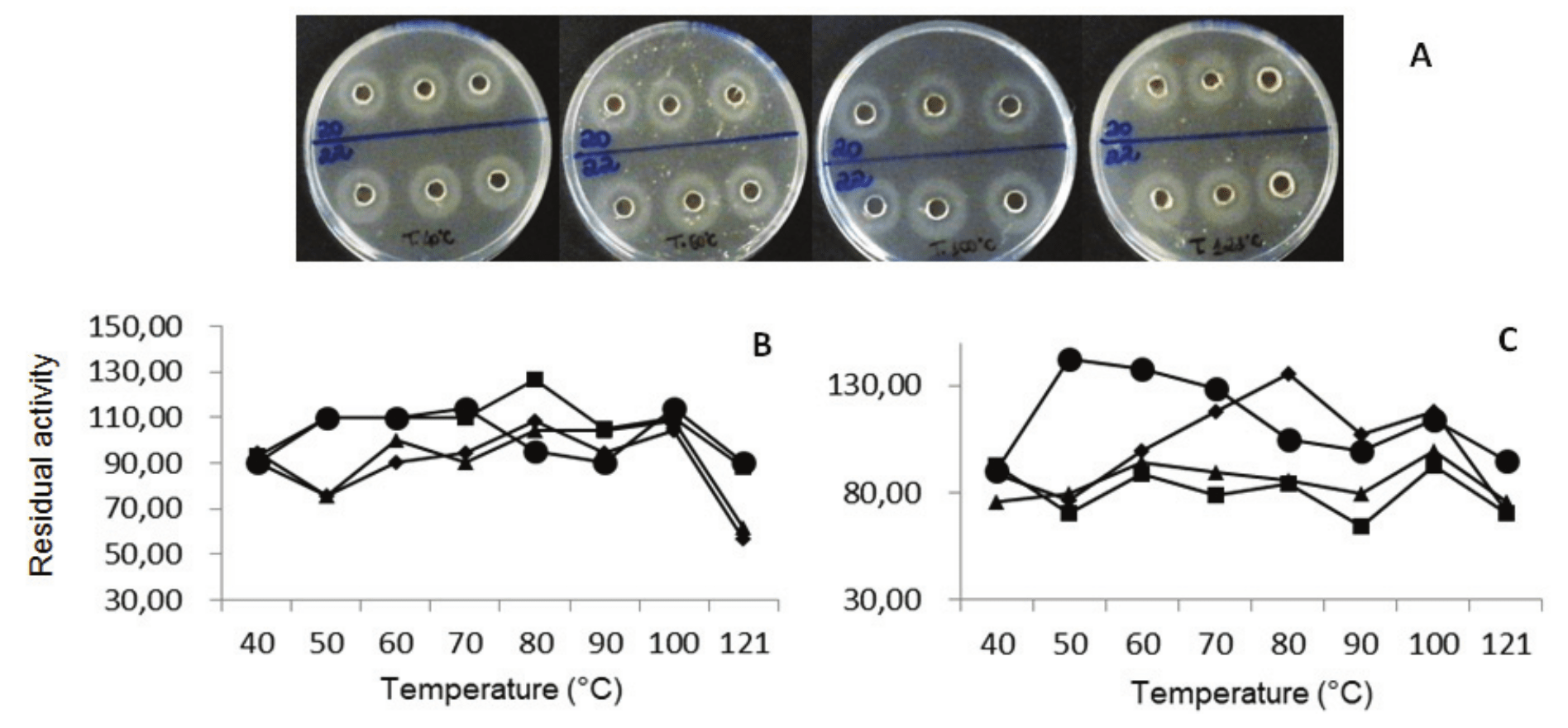 
(A) Inhibition halos formed with enterocin produced
by the isolates Efm20 and Efm 22 (1); Residual
activity of the temperature effect on the enterocin
stability produced by isolates Efm20 (B) and Efm 22
(C) (2). ■ Glycerol 20.0; ▲
tween 5.0; and ♦
lactose 30.0 g L-1.