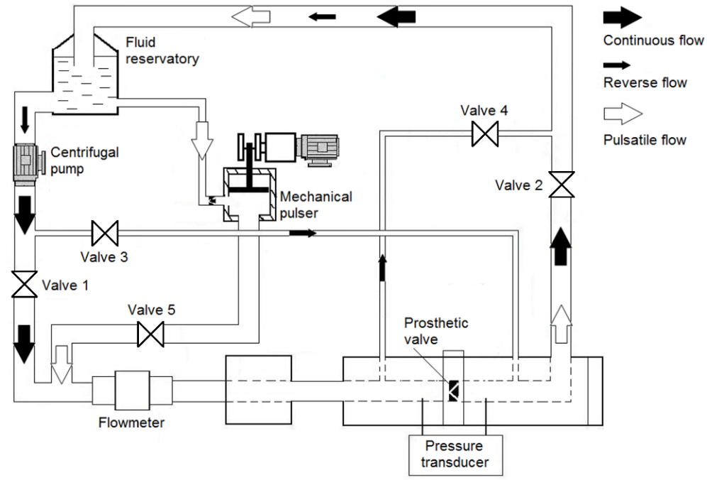 Schematic diagram of the experimental bench. Continuous mode performs tests from 5.0 to 25.0 L min.-1 and pulsatile mode performs tests from 30.0 to 120.0 bpm.
