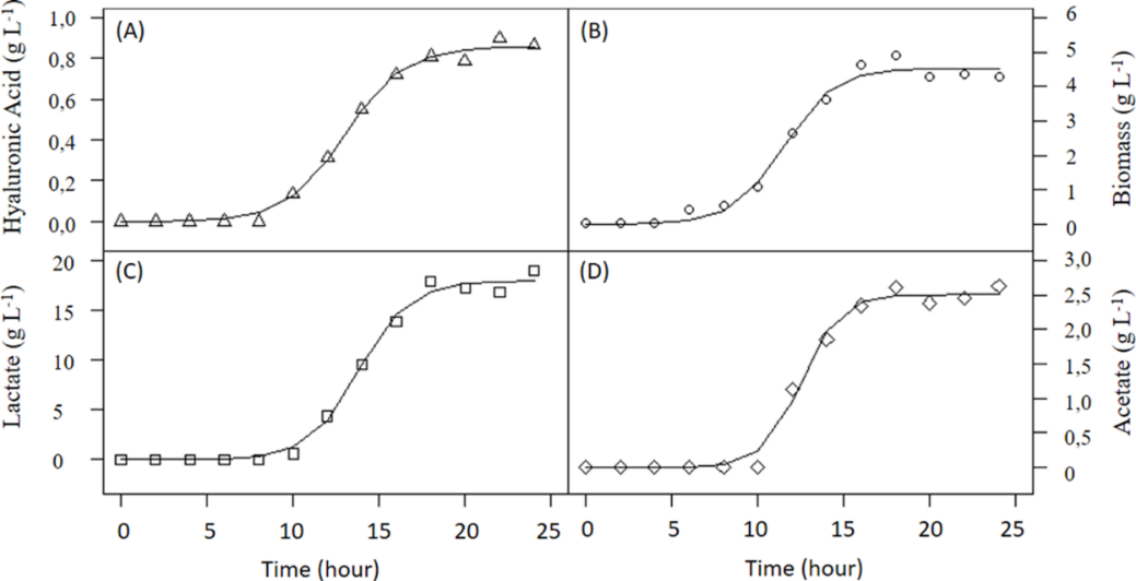 Production of hyaluronic acid (A), biomass (B), lactate (C) and acetate (D) by S. zooepidemicus ATCC 39920 in bioreactor