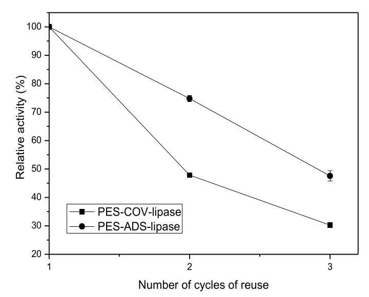 The relative activity of PES-ADS-lipase and PES-COV-lipase as a function of reuse numbers. The relative activity values are shown as the mean±SD for each point.