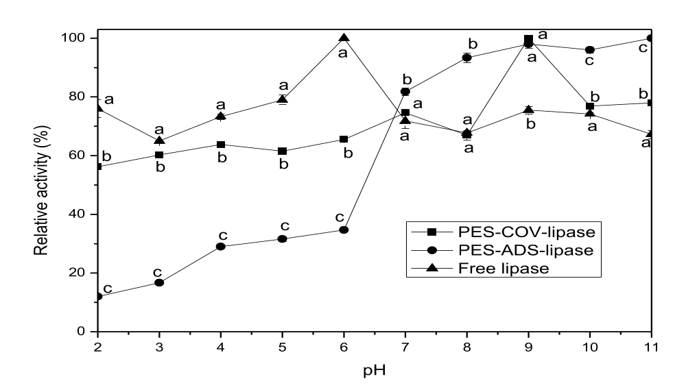 Effect of pH on the relative activity of free lipase, PES-ADS-lipase, and PES-COV-lipase. The relative activity values are shown as the mean±SD for each point. One-way ANOVA followed by a Tukey-test was performed. a-cFor each pH, different letters indicate significant differences (p < 0.05) between the mean values according to the Tukey´s test.
