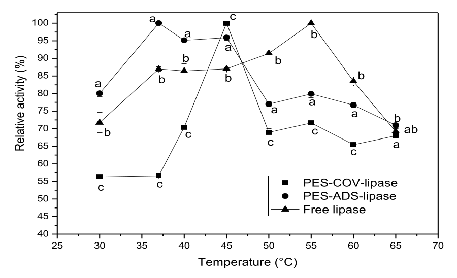 Effect of temperature on the relative activity of free lipase, PES-ADS-lipase, and PES-COV-lipase. The relative activity values are shown as the mean±SD for each point. One-way ANOVA followed by a Tukey-test was performed. a–cFor each temperature, different letters indicate significant differences (p < 0.05) between the mean values according to the Tukey´s test.