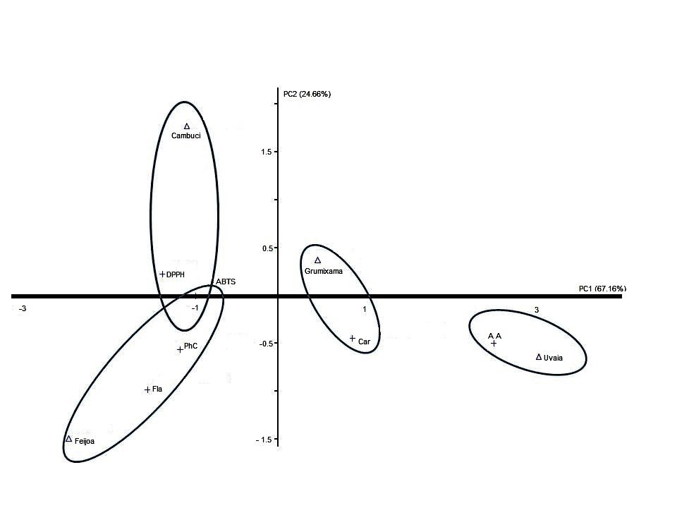 Graphic representation of the Principal Components relative to the bioactive compounds and antioxidant capacity evaluated in the pulp samples of cambuci, feijoa, uvaia, and grumixama.