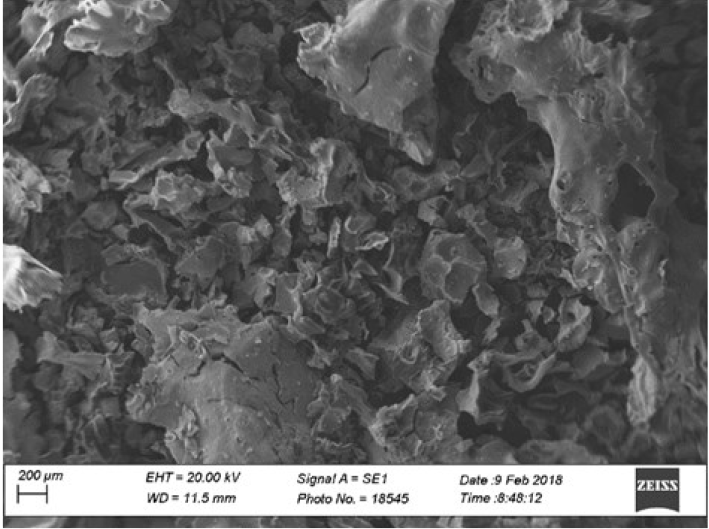 SEM micrographs of the activated carbon prepared from defective coffee beans. 50x magnification.