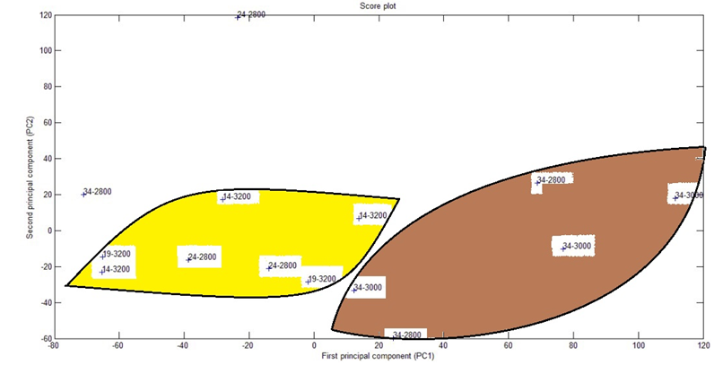 Principal Component Analysis for the data of the 14 samples of Nile Tilapia feed with five distinct blends of protein and energy.