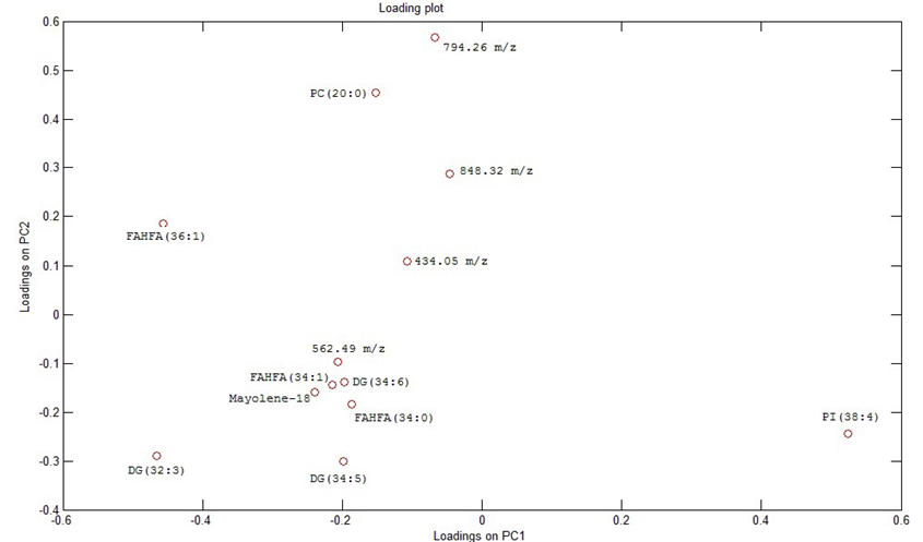Loadings of PCA analysis with 14 samples of Nile Tilapia feed with five distinct blends of protein and energy.