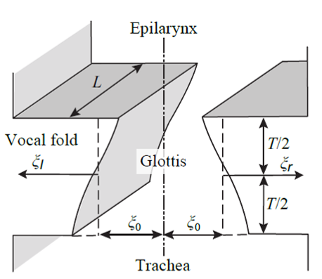 Schematic representation of the vocal folds (Titze, 1988).