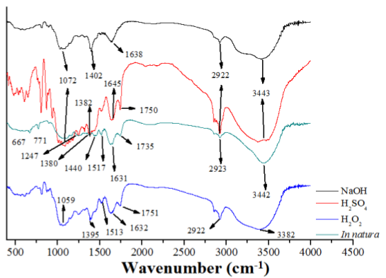 Infrared spectra of fresh CA and CA chemically modified with H2O2, H2SO4 and NaOH.