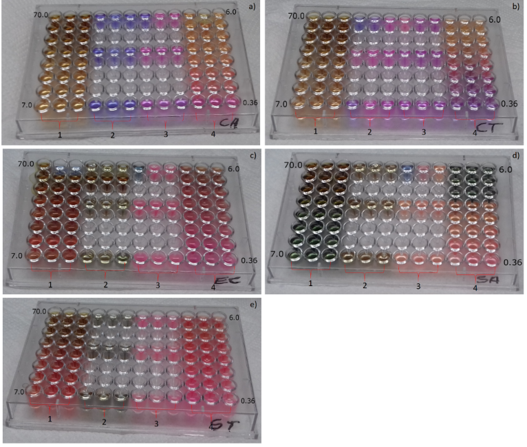 Figure 4. 1: Culture medium, microorganisms and B. dracunculifolia extract; 2: culture medium, microorganisms and commercial antimicrobial; 3: culture medium and microorganisms; 4: Culture medium, microorganisms and B. dracunculifolia extract. The concentrations of B. dracunculifolia extract are distributed in decreasing order. a) C. albicans b) C. tropicalis c) E. coli d) S. aureus e) S. enterica Typhimurium.