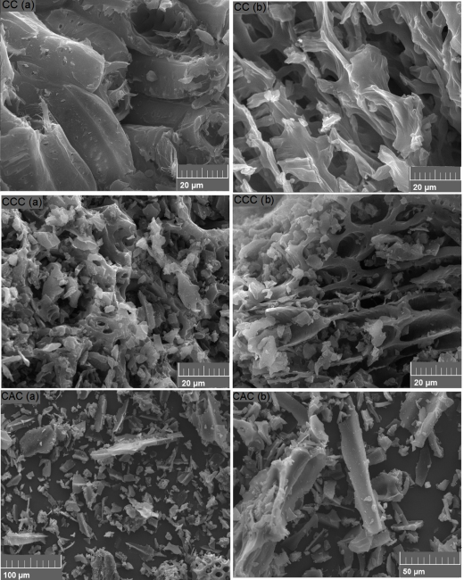 Figure 2. Micrographs of in natura corn cobs&ndash; CC (a and b, 30.0 kV, 2.00 kx ); Carbonized Corn Cobs &ndash; CCC (a and b, 30.0 kV, 2.00 kx) and Commercial Activated Carbon &ndash; CAC (a - 20 kV, 500x and b - 20 kV, 1.0 kx).