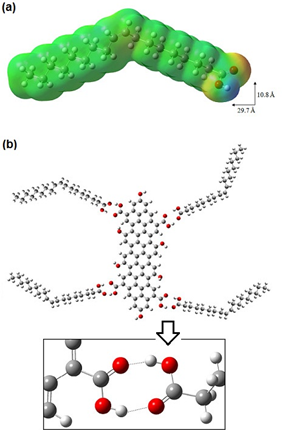 Figure 3. Molecular dynamics simulation: (a) Oleic acid 3-D structure and electronic cloud (theoretical); and (b) Possible interaction mechanism (H-Bond) between the oleic acid molecules (i.e. FFA) and the functional groups (active sites) on the adsorbent surface.